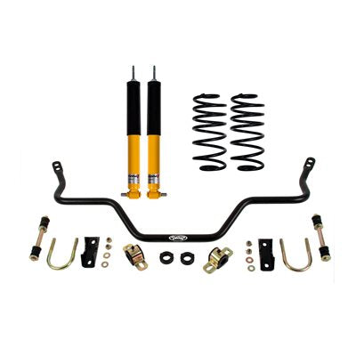 DETROIT SPEED SK1 REAR SUS KIT 82-92F W/3 AXLE TUBES