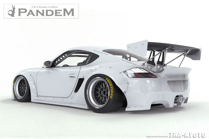 GReddy Pandem RB 09-12 Porsche Cayman V2 Rear Over-Fenders (Special Order) - 0