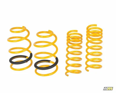 mountune Sport Spring Set 14-15 Ford Focus ST