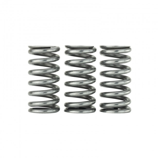 Ultra Valve Springs and Spring Base Kit - Honda L15B7