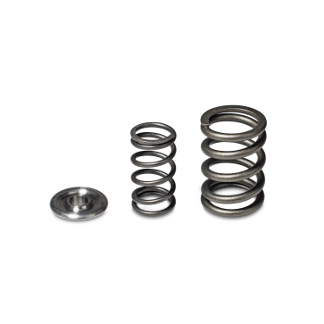 Skunk2 Alpha Series Honda/Acura H Series Valve Spring and Titanium Retainer Kit - 0