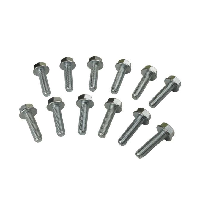 Moroso GM LS Rear Seal Cover Bolts