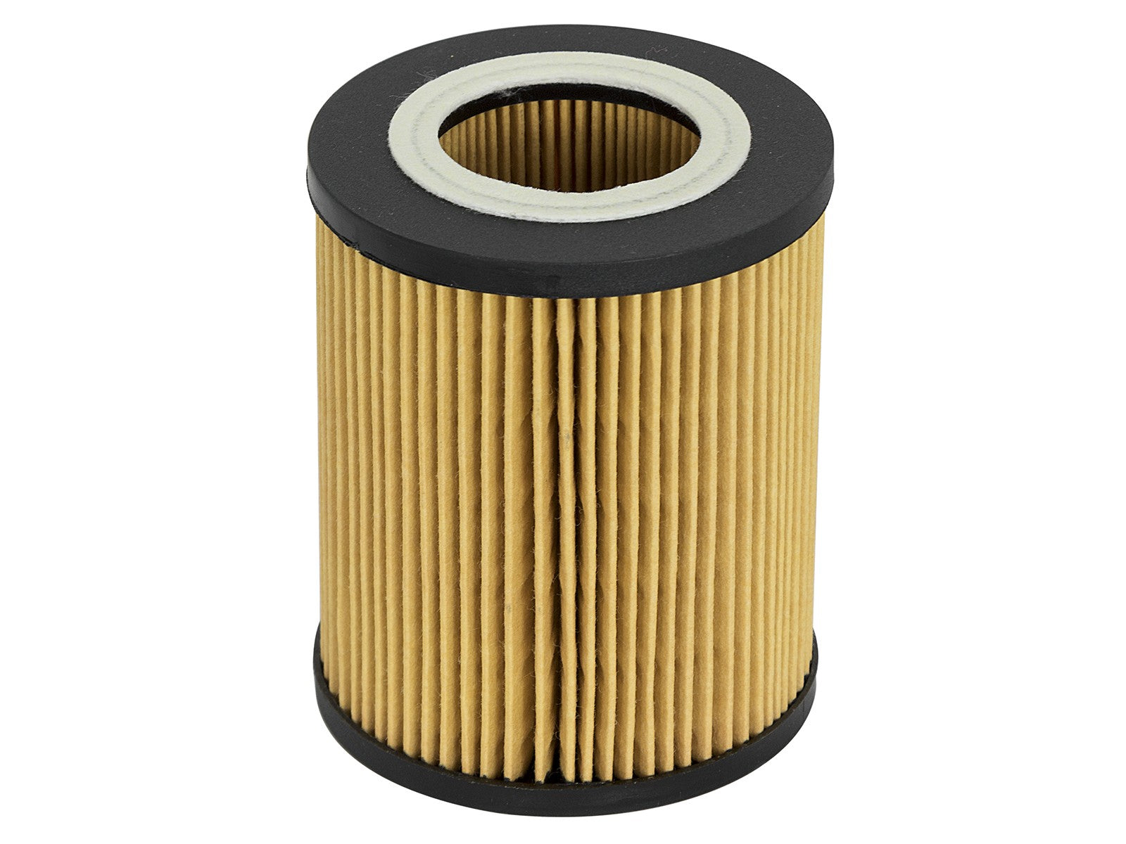 Pro GUARD D2 Oil Filter BMW Gas Cars 96-06 L6 - 0