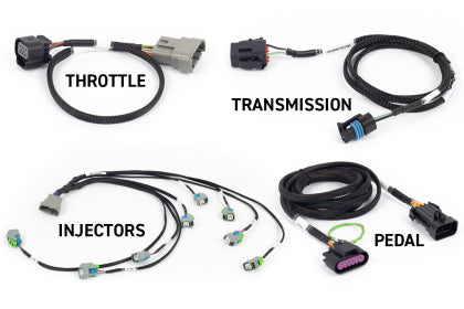 Haltech NEXUS Rebel LS Kit (Suits Gen IV) 6-Pin DBW Throttle/EV6 Injectors/Manual Transmission - 0