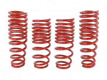 Skunk2 92-95 Honda Civic/Del Sol Lowering Springs (2.50in - 2.25in.) (Set of 4) - 0