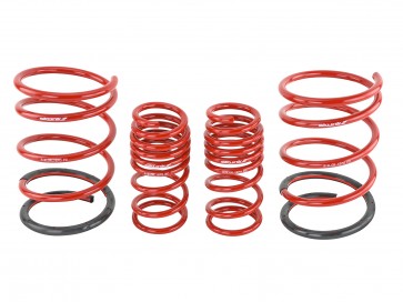 Skunk2 01-05 Honda Civic Lowering Springs (2.25in - 2.00in.) (Set of 4) - 0