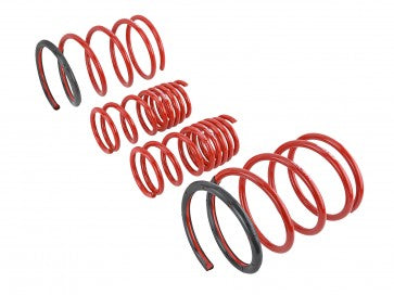 Skunk2 01-05 Honda Civic Lowering Springs (2.25in - 2.00in.) (Set of 4)