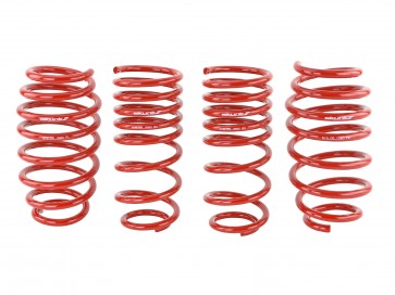 Skunk2 06-09 Honda Civic Lowering Springs (2.25in - 2.00in.) (Set of 4) - 0