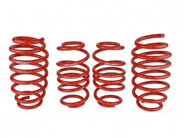 Skunk2 12 Honda Civic Lowering Springs (2.25 - 2.00in) (Set of 4) - 0