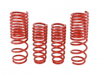 Skunk2 90-97 Honda Accord (All Models) Lowering Springs (2.00in. - 1.80in.) (Set of 4) - 0