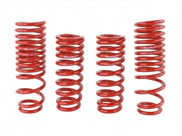 Skunk2 90-93 Acura Integra Lowering Springs (2.50in - 2.25in.) (Set of 4) - 0