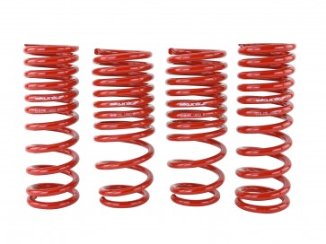 Skunk2 88-91 Honda Civic/CRX Lowering Springs (2.50in - 2.25in.) (Set of 4) - 0