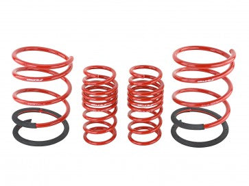 Skunk2 02-04 Acura RSX Lowering Springs (2.25in - 2.00in.) (Set of 4) - 0