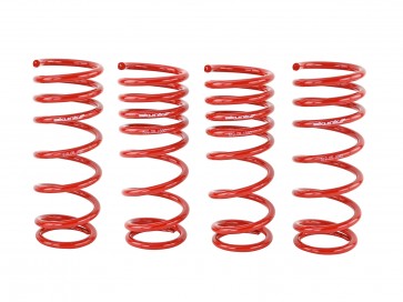 Skunk2 00-04 Honda S2000 Lowering Springs (2.00in. - 1.80in.) (Set of 4) - 0