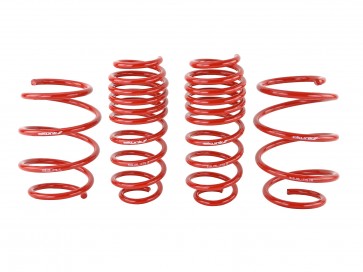 Skunk2 16-17 Honda Civic Lowering Springs (1.375in - 1.25in) (Set of 4) - 0