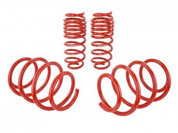 Skunk2 16-17 Honda Civic Lowering Springs (1.375in - 1.25in) (Set of 4)