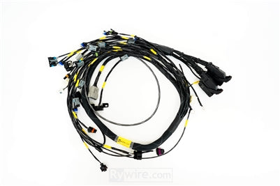 RYWIRE ECU ENGINE HARNESS: GM LS3 APPLICATIONS