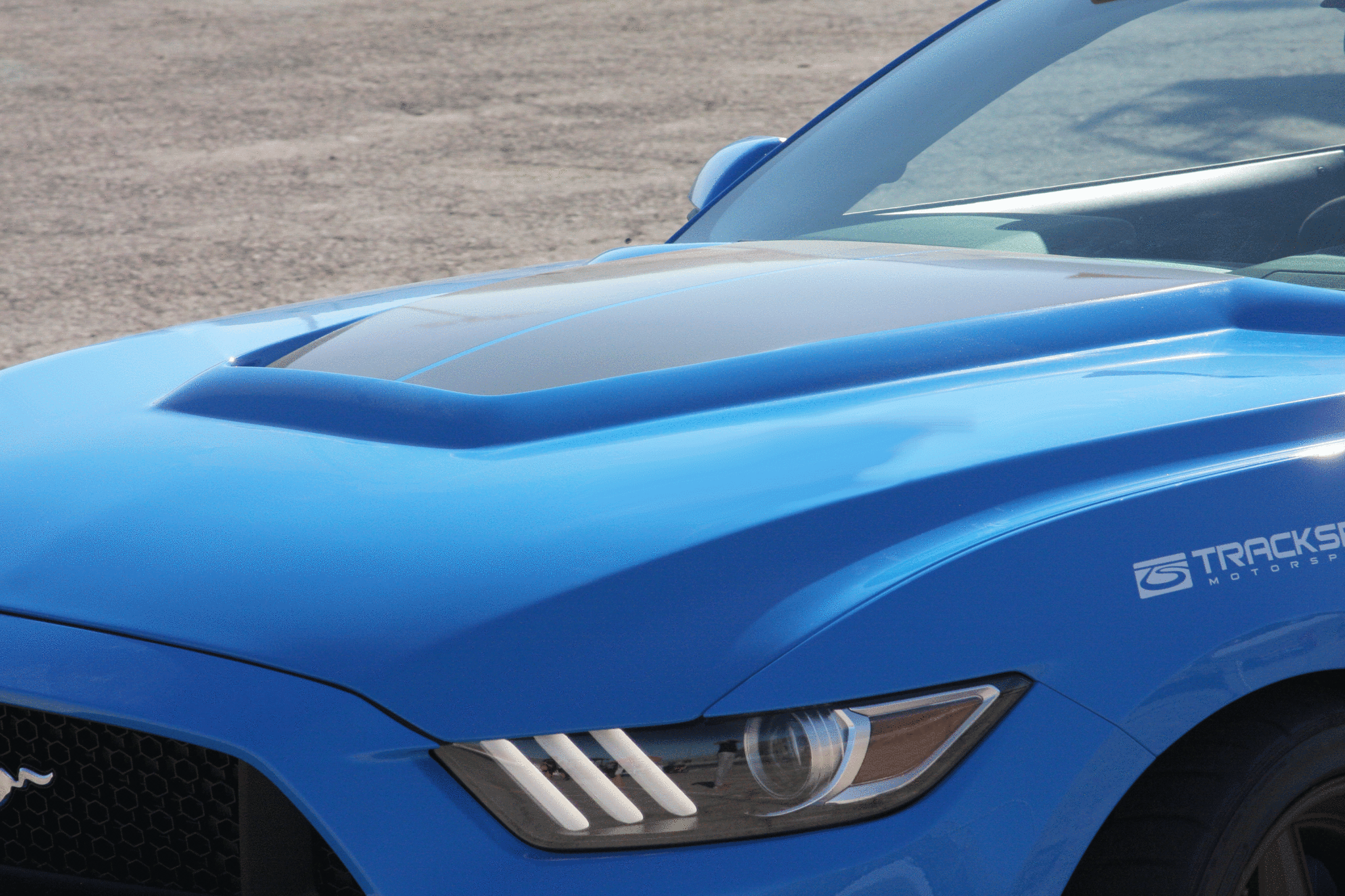 Anderson Composites 15-16 Ford Mustang (Excl. GT350/GT350R) Type-GR Fiberglass Hood - 0