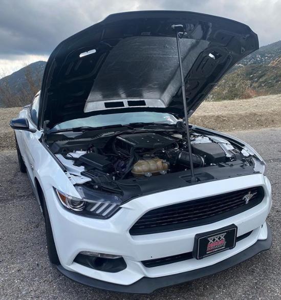 Anderson Composites 15-17 Ford Mustang (Excl. GT350/GT350R) Double Sided Carbon Fiber Cowl Hood