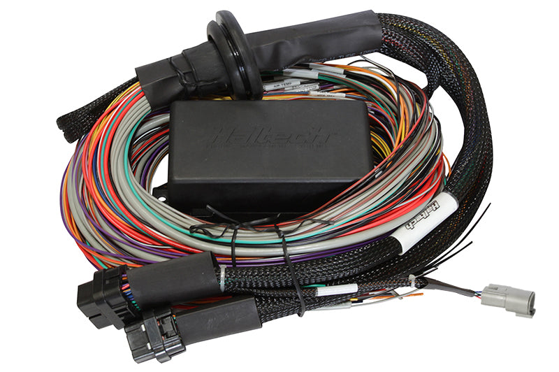 Haltech Elite 1500 8ft Premium Universal Wire-In Harness