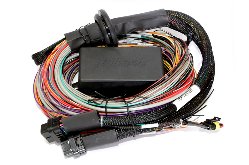 Haltech Elite 2500 16ft Premium Universal Wire-In Harness ECU Kit - 0