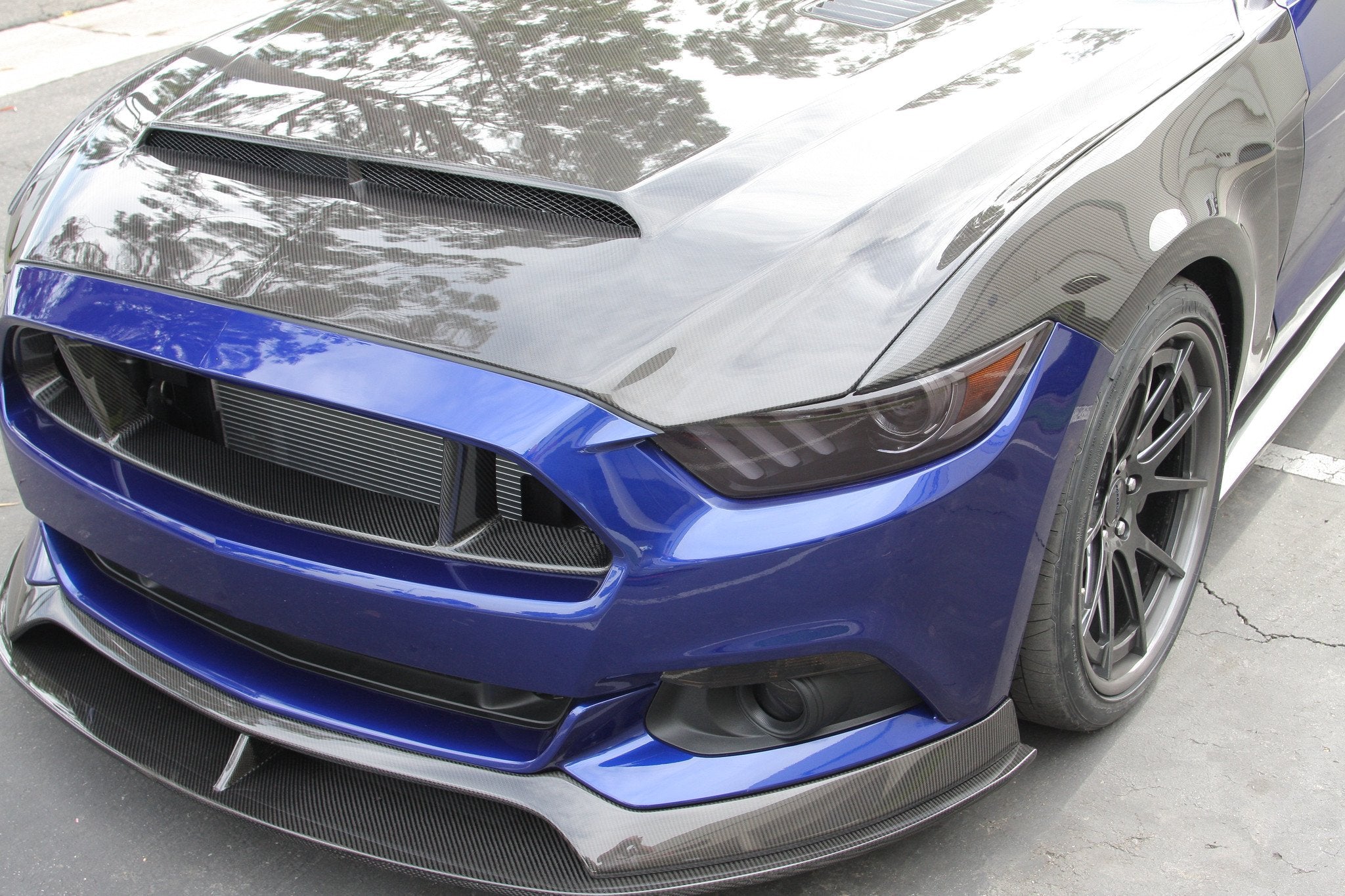 Anderson Composites 15-17 Ford Mustang (Excl. GT350/GT350R) Super Snake Double Sided Hood