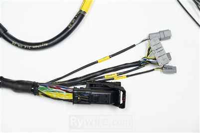 Rywire Honda K-Series AEM Infinity MS Engine Harness w/Chassis Specific Adapter - 0