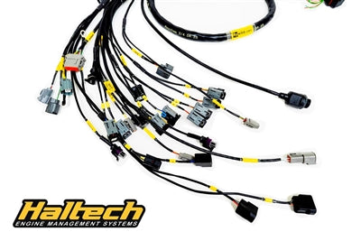 Rywire Honda K-Series (w/Haltech Elite 1500+) Engine Harness w/Chassis Specific Adapter