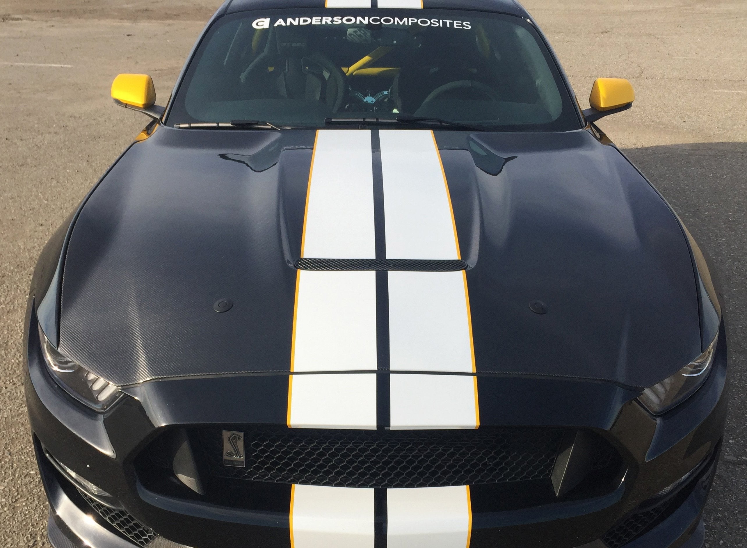 Anderson Composites 2015-2017 Ford Mustang Shelby GT350 Double Sided Carbon Fiber Hood