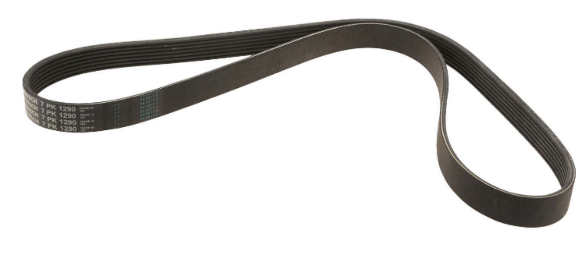 VW Serpentine Belt - Continental 021145933C