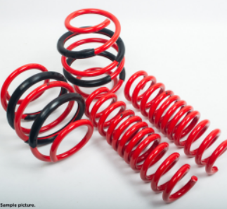 AST G90 M5 Lowering Spring Set