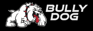 Bully Dog Power wire GT and WatchDog