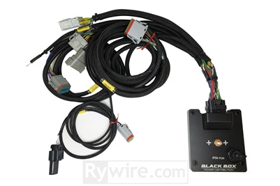 Rywire P14 PDM Honda Chassis Harness Kit (Drop Ship Only Note PO w/Model for Head/Taillight Adaptor)