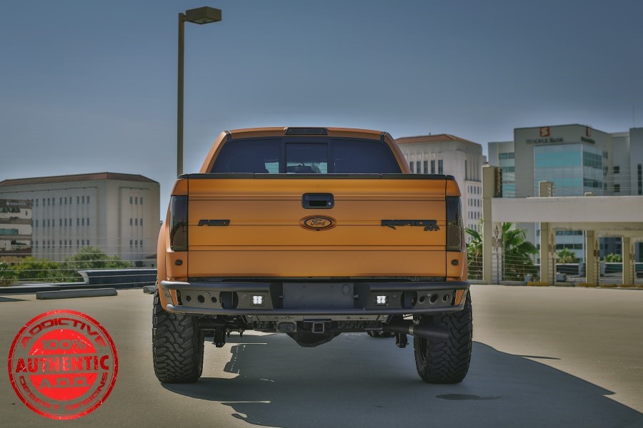 2009 - 2014 Ford F-150/Raptor Dimple R Rear Bumper