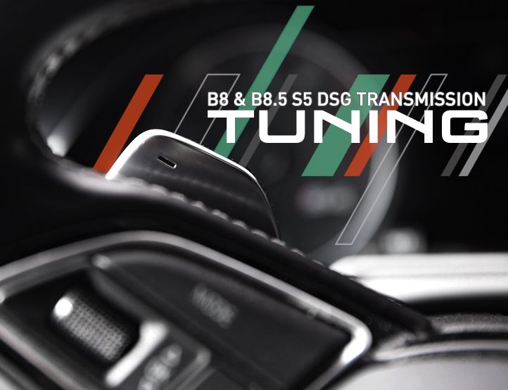 IE Audi S5 B8 & B8.5 DSG Tune (2010-2015 S-Tronic Transmission)