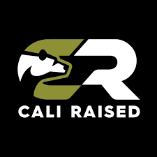 Cali Raised 22 Dual Row 5D Optic Osram Led Bar - Combo