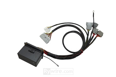 Rywire 02-04 Honda K-Series Mil-Spec Engine Harness w/OBD2 02-04 RSX K20 Sensors (Adapter Req)