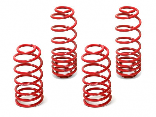 Neuspeed SofSport Spring Kit For MK4 2.8L VR6