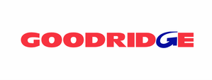 Goodridge Volvo 00-04.5 S40/00-03 V40 Stainless Steel Brake Lines - 0